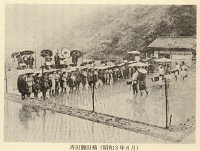 taue.jpg