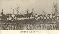 taue4.jpg